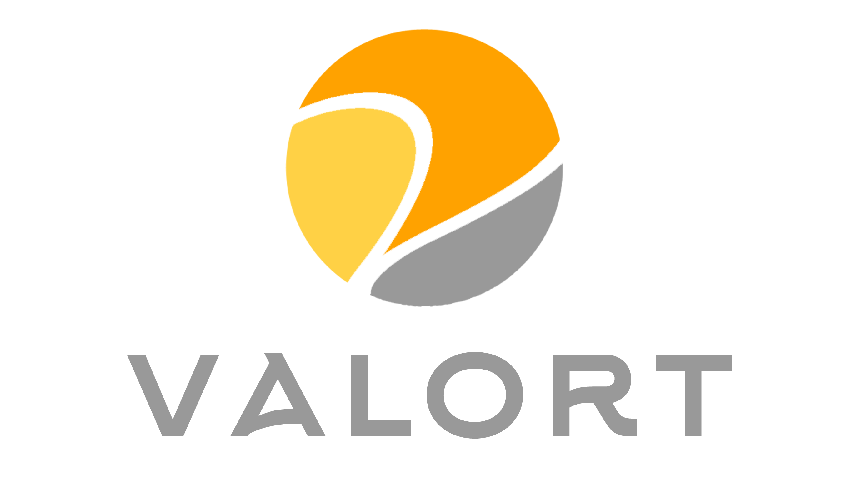 Valort Holdings Limited Valort